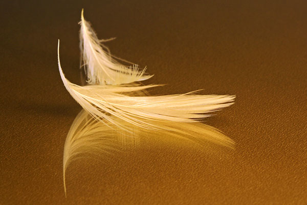 meaning of finding feathers