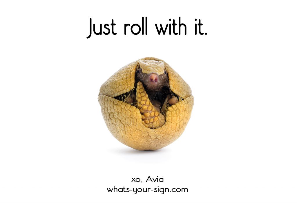 armadillo roll with it avia whats your sign