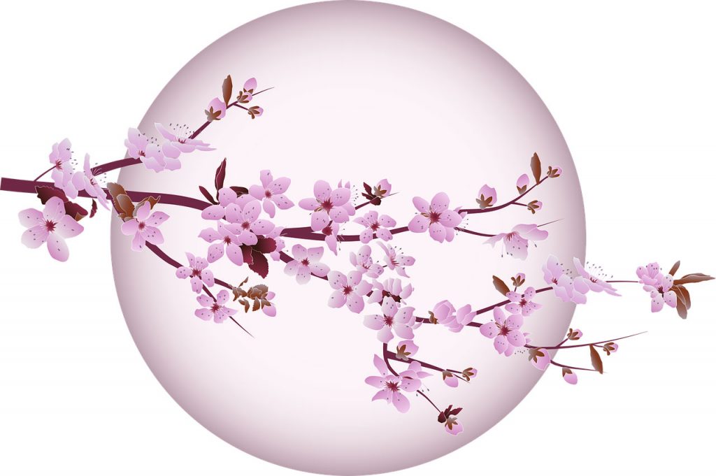 cherry blossom symbol of strength in challenging times